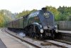 60009-3 Dunbridge 06092017.jpg