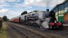 73156.jpg
