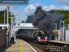 35028 Golden Arrow.001.jpg