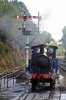 DSC02140.JPG