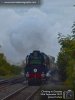 35028 ACE.001.jpg