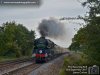 35028 ACE.002.jpg