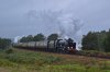 DSC_0083.jpg