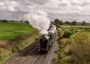 DSC_9398 5043 Wardle 300917.JPG