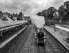 DSC_9405 5043 Wellington Stn bw 300917.JPG