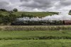 60009-35018 2b.jpg