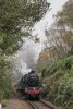 _DSC6148.jpg