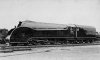 C55-Streamline.jpg