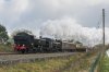 1311 9466 &9600 Approaching Danzey 11-11-17.jpg