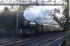 DSC01044.JPG