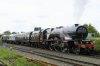 DSC05572a.jpg