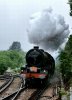 6201 Ascot power_2.jpg