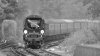 _M1070004BW.JPG