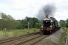 DSC05986a.jpg