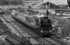 001pw bw.jpg