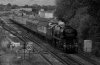 002pw bw.jpg