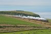 DSC_6005.jpg
