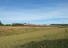 DSC_5995.jpg