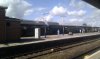 IMAG0338.jpg