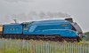 DSC_2406.JPG