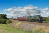 DSC_6050 l.jpg
