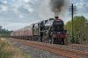 DSC_6108.jpg