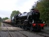 DSCF8105.JPG