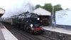 35028_Winchester.jpg