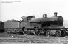 GV_1799_Woodcock.jpg