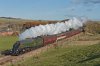 DSC_6762.jpg