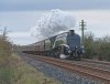 DSC_6778.jpg