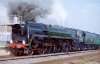 71000-Duke-of-Gloucester1-1560x1011.jpg