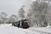 Welshpool 2 09-12-17 011 (1024x692).jpg