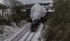 48151 2 2b.jpg