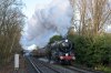 1321 70013 Virginia Water 14-12-17.jpg