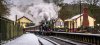 DSC_6970hr-0.jpg