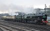 DSC_9265-crop3.jpg