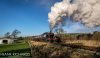 DSC_7254hr-0.jpg