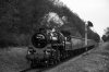 RN5597.jpg