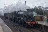 DSC_10442.jpg