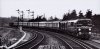 t1009.jpg