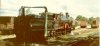 3214 Watering, Thirlmere, 1979.jpg