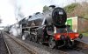 45231+45379 -7 Medstead 09022018.jpg