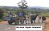 Toyota Cowrolla.jpg