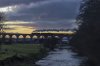DSC_10368a.jpg