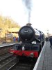 6023 P1.jpg