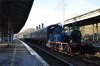 323 Eridge 24.2.2018.jpg