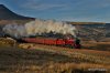 DSC_4801.JPG