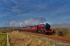 DSC_4787.JPG