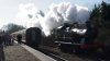 5619_Yarwell_2018-02-25.jpg